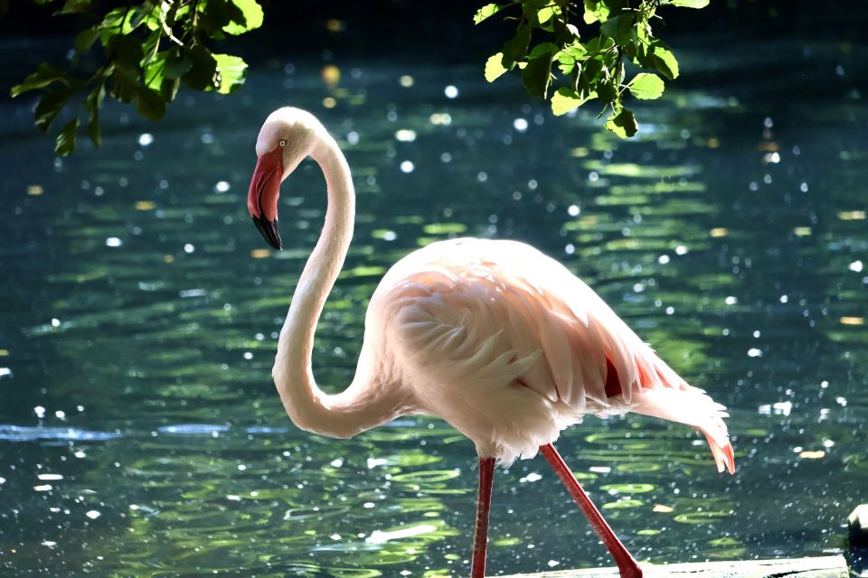 Foto: Monique Bartsch